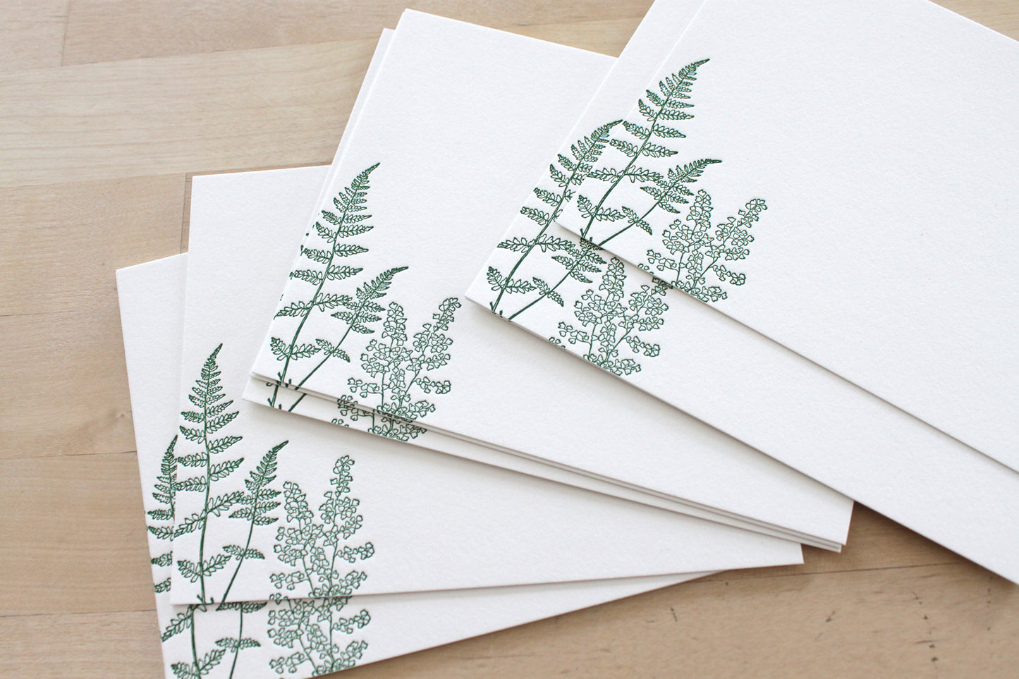 Botanical letterpress notecard gift set featuring elegant fern illustration