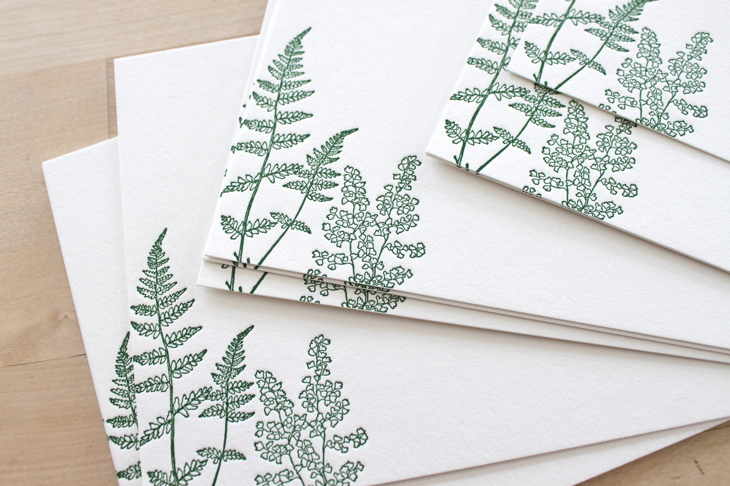 Ferns letterpress thank you cards with botanical fern design on cotton paper with matching envelopes