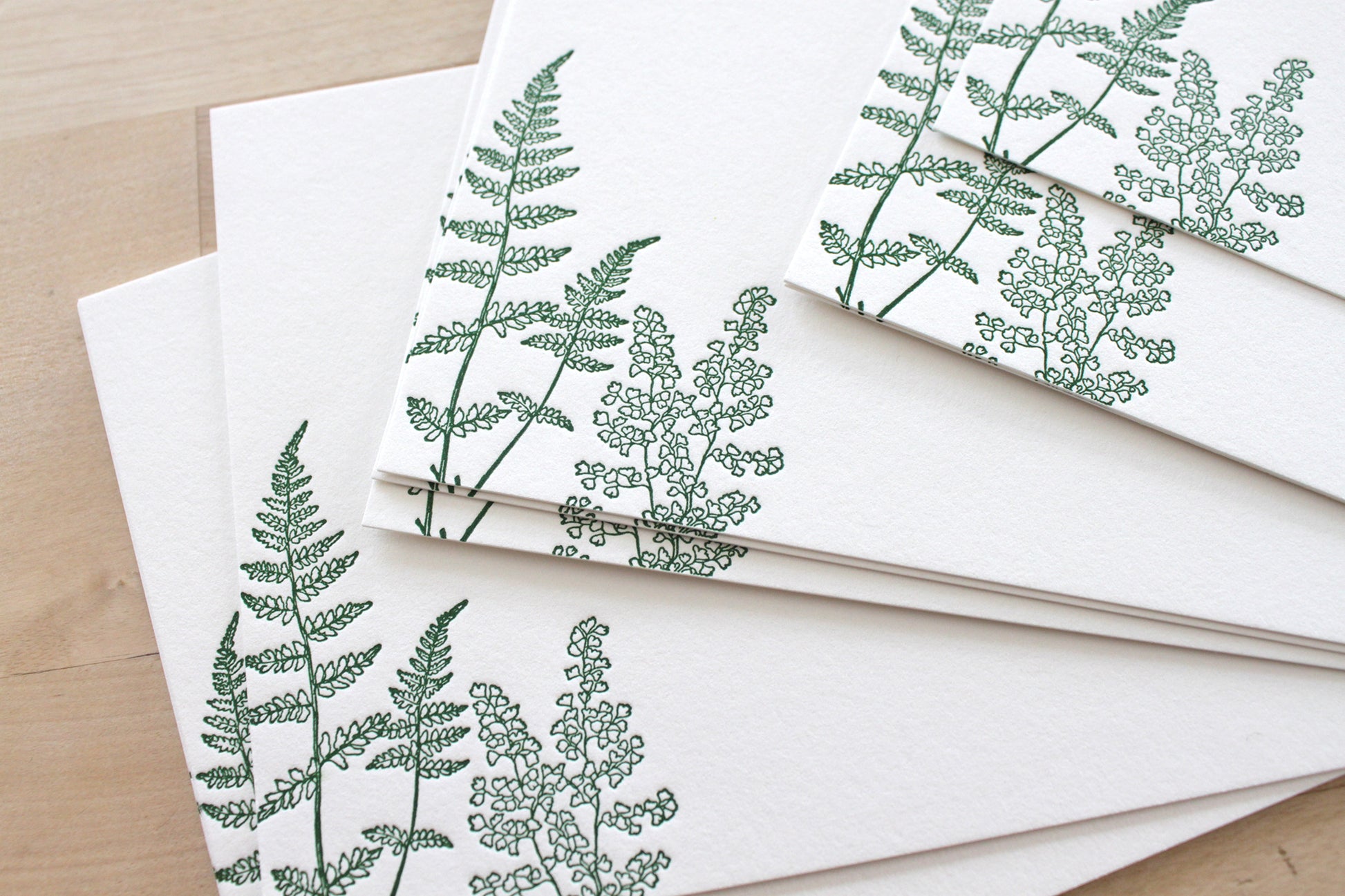 Ferns letterpress thank you cards with botanical fern design on cotton paper with matching envelopes